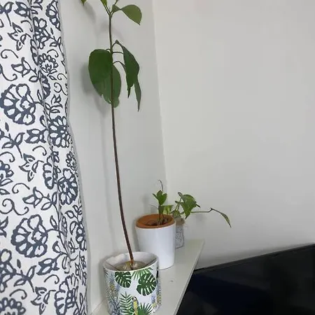 House Spagnoli Apartment